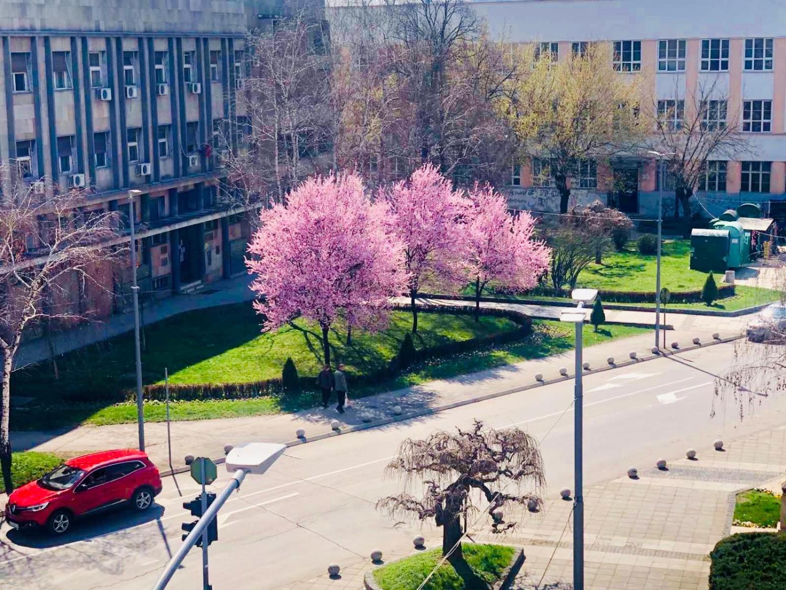 Bella Apartments Kruševac Kültér fotó